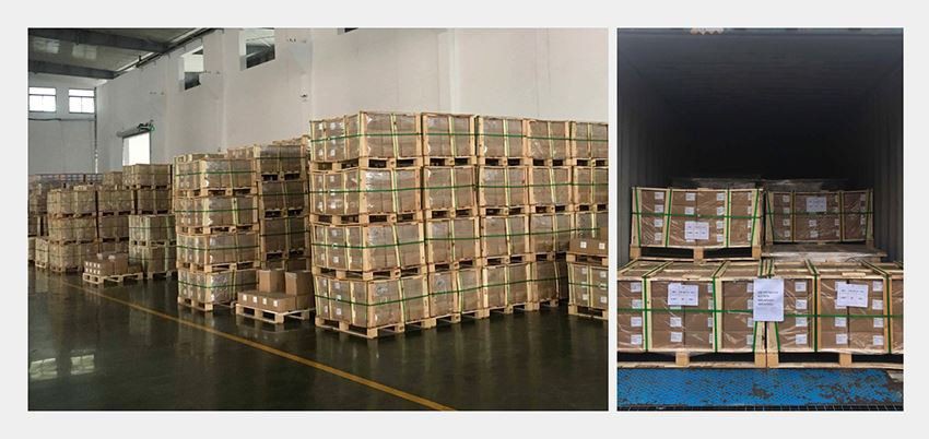 Screws loading container Screws loading container