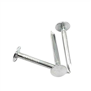 स्टेनलेस स्टील क्लाउट नाखून