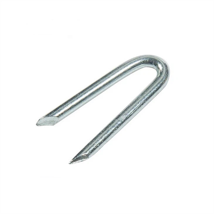 Galvanized U Type Nails For Fence